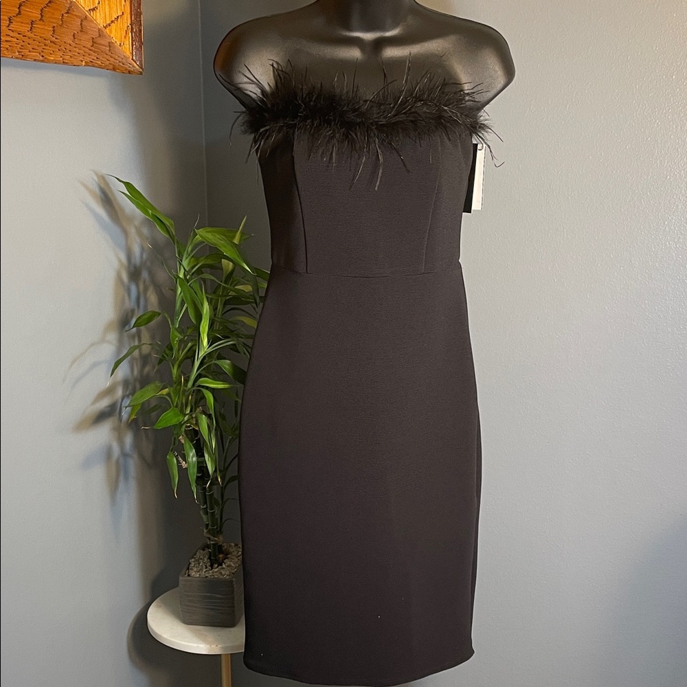 NWT- Xtraordinary Black Strapless Dress with Feather Accent - Never Worn!